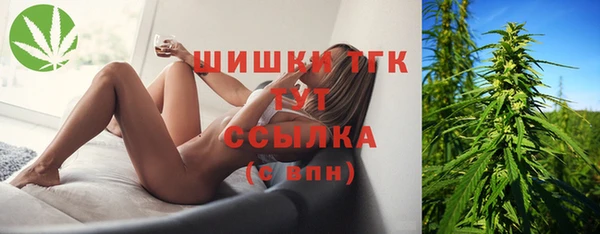 стаф Надым