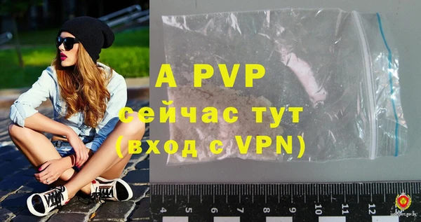 стаф Надым