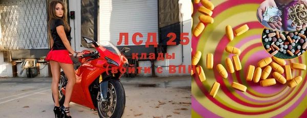 стаф Надым