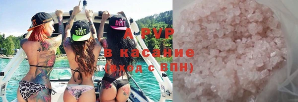 стаф Надым